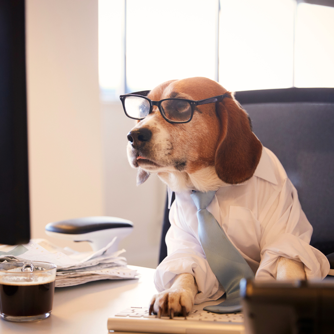 beagle-salestaxsolutions