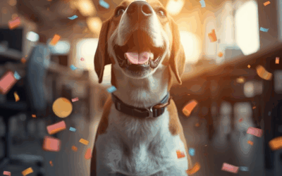 Professional Sales Tax Solutions and Services for Modern Businesses