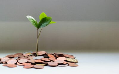 Crowdfunding Sales Tax Rules: What Creators Need to Know