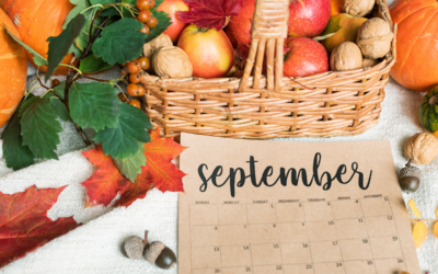 September 2026 Sales Tax Due Dates (State-by-State Filing Calendar)