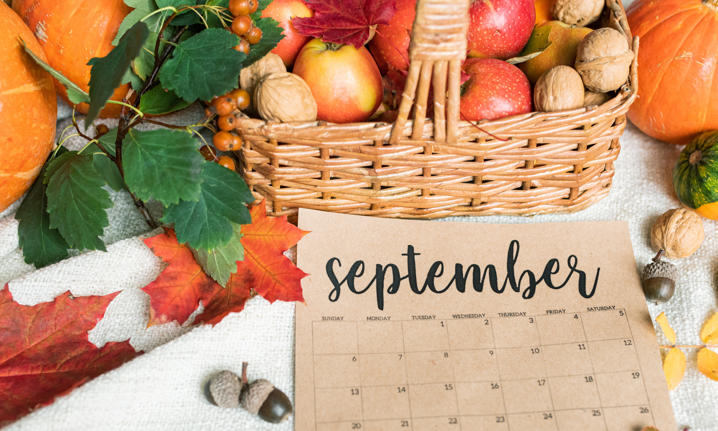 September sales tax due date