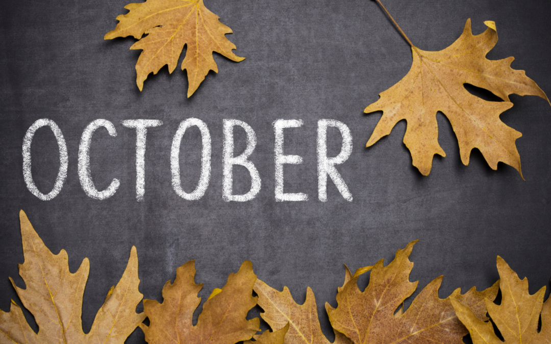 October 2026 Sales Tax Due Dates (State-by-State Filing Calendar)