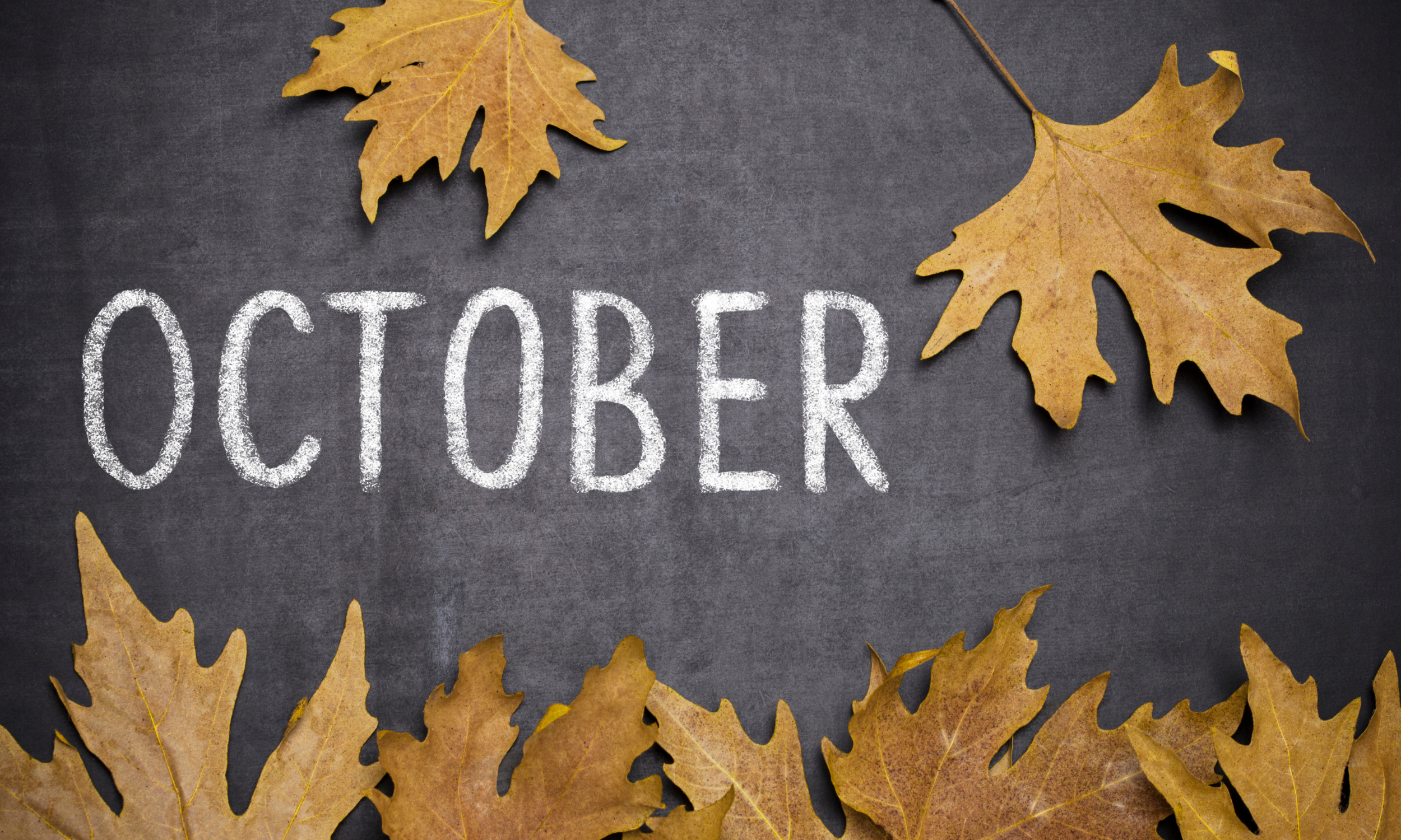october sales tax due date
